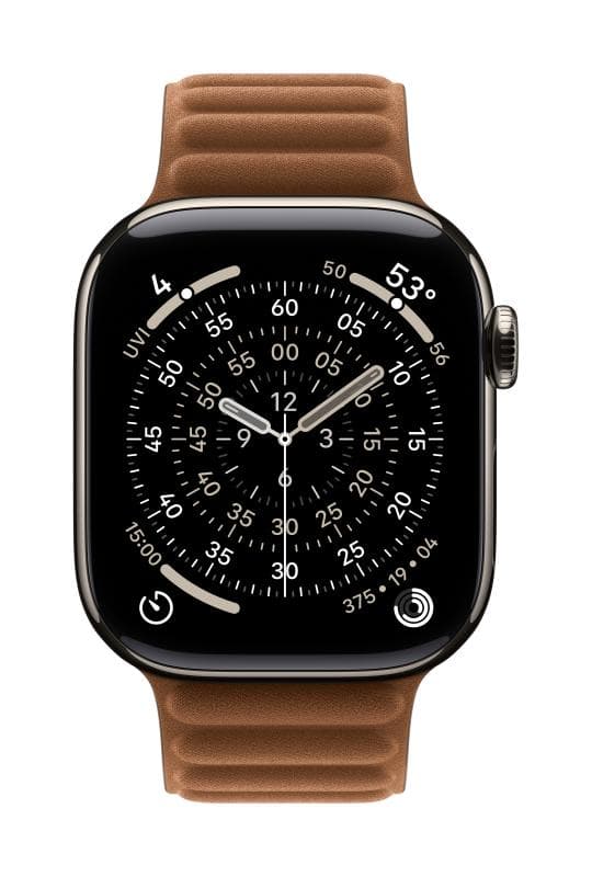 Apple Watch 42mm Caramel Magnetic Link - S/M