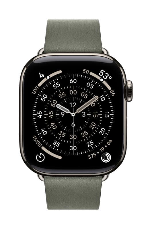 Apple Watch 42mm Sage Gray Modern Buckle - Large